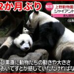 【まん延防止】解除で各地にぎわい 上野動物園も営業再開