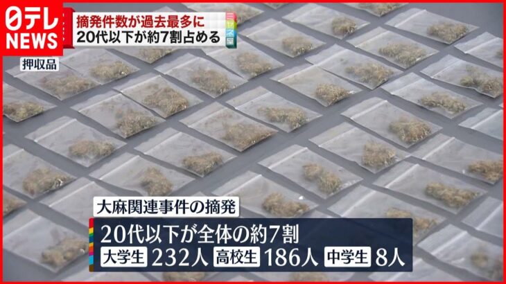 【大麻】摘発件数”過去最多” ２０代以下が７割占める