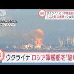 【速報】ウクライナ　ロシア軍の揚陸艦を破壊　二次的な爆発で大火災か(2022年3月24日)