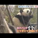 東京・上野動物園の双子ジャイアントパンダ 一般公開が再開