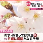 【まん延防止】解除から初の週末 東京は桜の満開近づく 各地では客足に期待