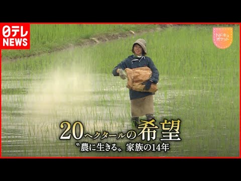 【農と家族の１４年】困難を乗り越え追求する”米作り” 20ヘクタールの希望『Nドキュポケット』　NNNセレクション
