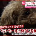 【きょうの１日】ペットも隣で“空の旅” 動物アレルギー対策も…