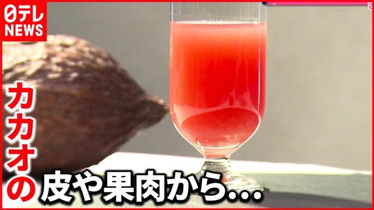【フードロス削減】赤色のジュース！ カカオを“丸ごと生かす”方法を開発