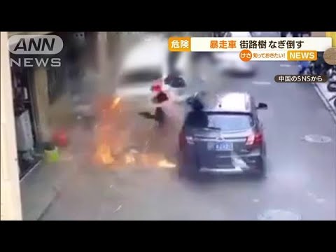 一瞬で・・・猛スピード“暴走車”街路樹なぎ倒す　中国(2022年3月29日)