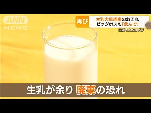 新庄ビッグボスも「牛乳飲んで」・・・再び“生乳大量廃棄”の恐れ(2022年3月29日)