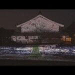 奈良・明日香村の川原寺（かわはらでら）幻想的な夜桜プロジェクションマッピング　４月３日まで