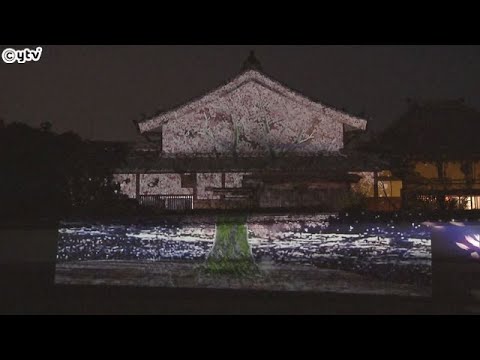 奈良・明日香村の川原寺（かわはらでら）幻想的な夜桜プロジェクションマッピング　４月３日まで