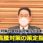 原油高騰対策や食料品対策など４本柱 岸田首相が物価高騰対策の策定指示 ４月中に取りまとめ