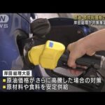 岸田総理　対策策定を指示　原油・原材料価格高騰に(2022年3月29日)