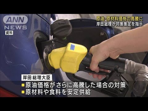 岸田総理　対策策定を指示　原油・原材料価格高騰に(2022年3月29日)