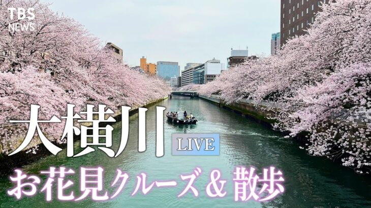 【LIVE】4/2 12:00~ 満開の桜 下町のお花見クルーズ&ゆったり散歩 in 東京