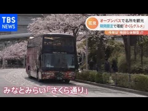東京は桜満開！今年は体験型のお花見が人気【Nスタ】