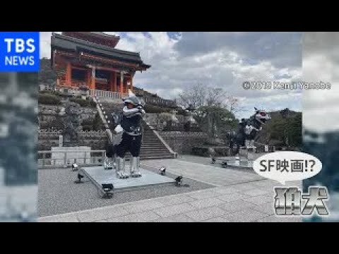 京都・清水寺に“メタル狛犬”登場【Nスタ】