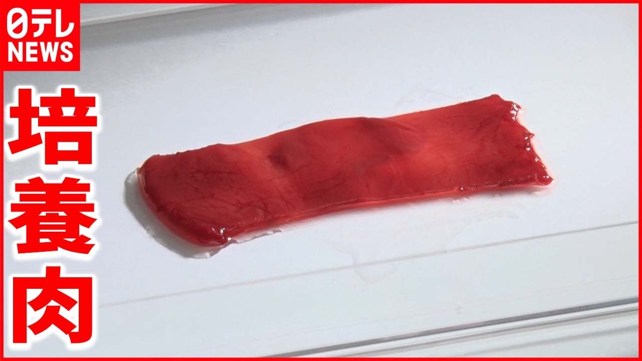 【開発成功】日清食品×東京大学 食べられる素材で培養肉