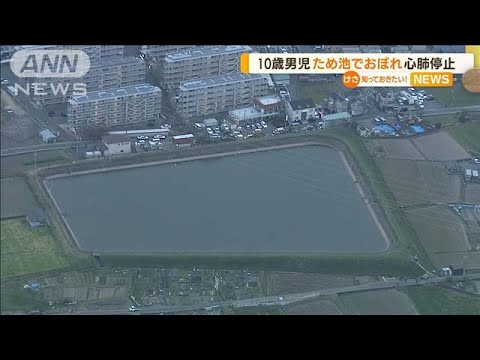 10歳の男の子　ため池で溺れ心肺停止　大阪・枚方市(2022年4月12日)