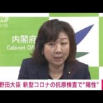 【速報】微熱があり・・・野田大臣が抗原検査で陽性(2022年4月1日)