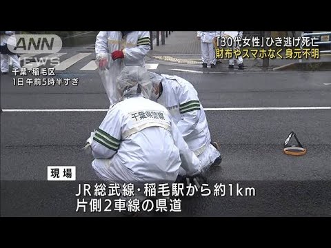 横断歩道に倒れ・・・女性死亡　頭と下半身にけが　ひき逃げ事件で捜査　千葉(2022年4月1日)
