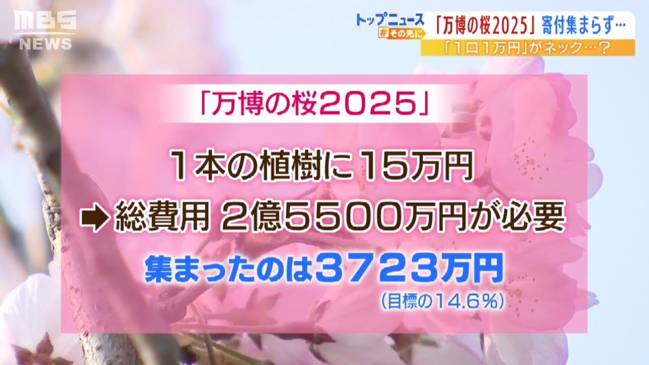 【１口１万円がネック？】「寄付」集めに苦戦…大阪・関西万博に向けた『２０２５本の桜』植樹プロジェクト(2022年3月31日)