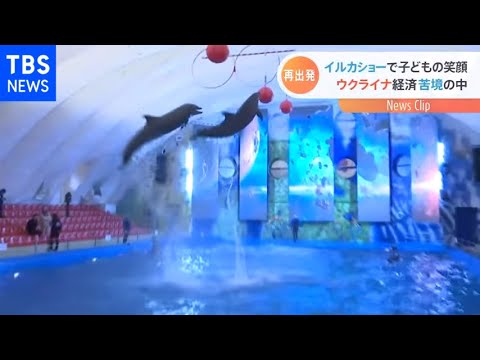 イルカショーで子どもの笑顔 ウクライナ経済苦境の中