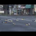 ひき逃げ？横断歩道で倒れ女性死亡　携帯も財布も持たず“不可解”(2022年4月1日)