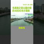 【美映像】「毛馬桜之宮公園」の桜　大正１２年に植樹始まり…約４８００本が満開（2022年4月1日）#Shorts #毛馬桜之宮公園 #大川 #桜