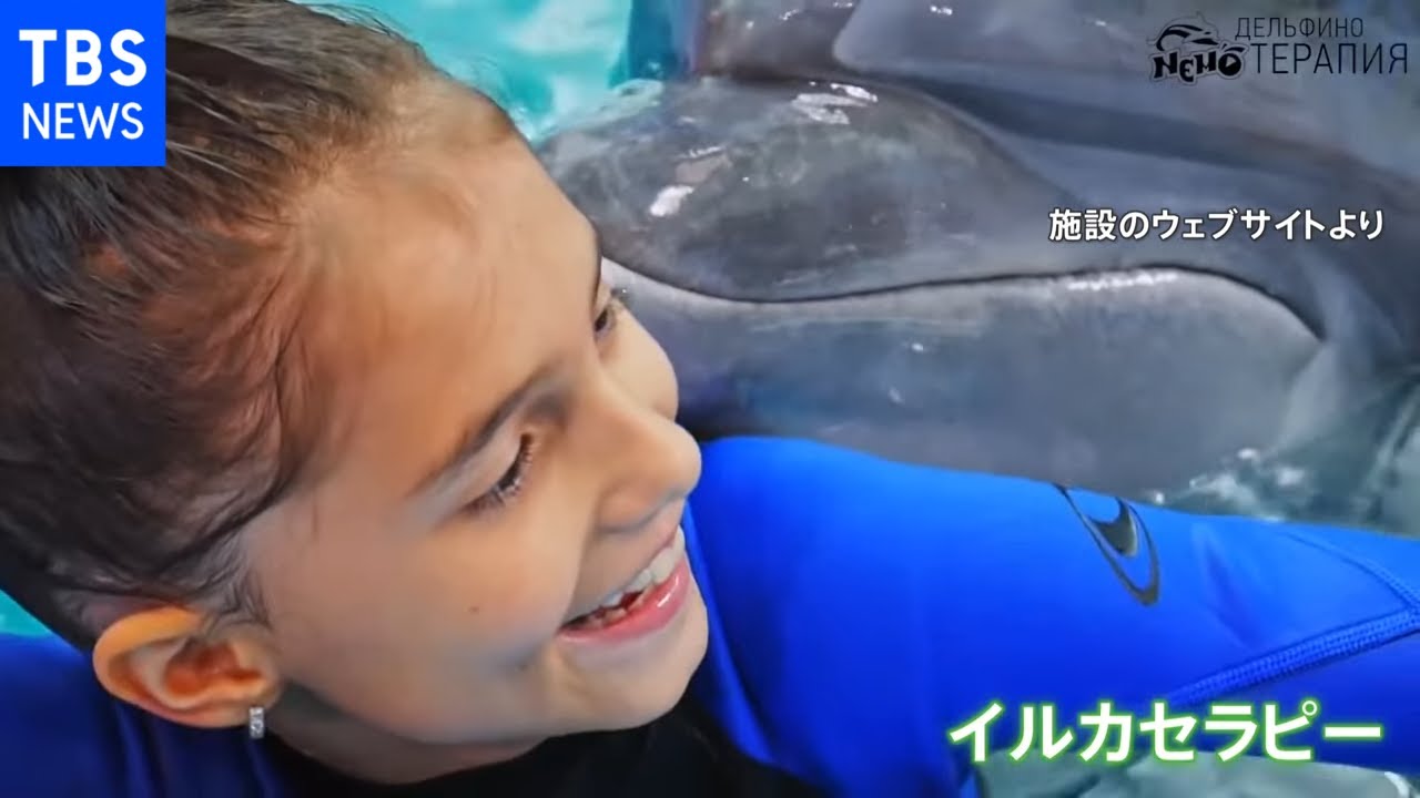 イルカショーで子どもの笑顔 ウクライナ経済苦境の中