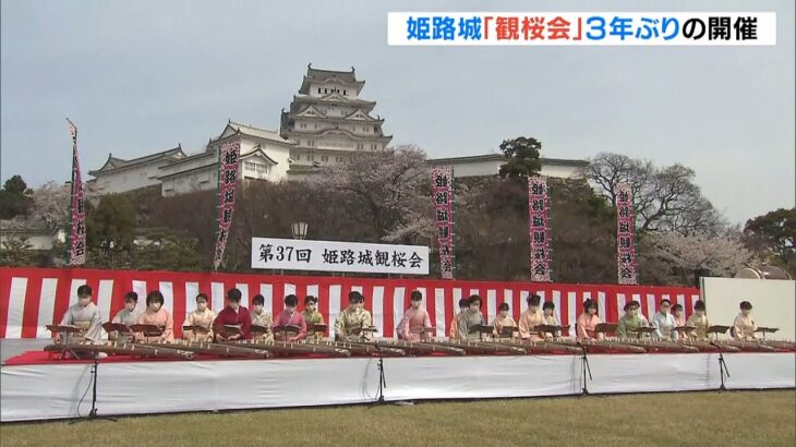 姫路城で「観桜会」３年ぶりに開催　コロナ対策で会場の人数を制限など規模は縮小（2022年4月2日）