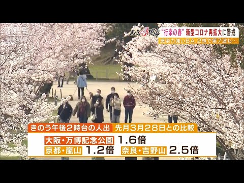 懸念される『第７波』花見シーズンで人出増加…奈良・吉野山では先週と比べ２．５倍増（2022年4月4日）