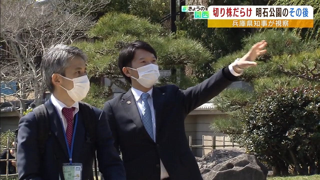 切り株だらけ…『明石公園』の樹木伐採計画が一旦中止に　斎藤知事「バランスが大事」（2022年4月4日）