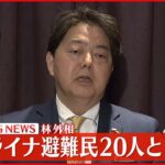 【林外相コメント】ポーランド訪問を終え帰国へ