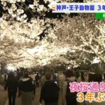 【３年ぶり「夜桜通り抜け」開催】５００本の桜の木でピンク色に染まる「王子動物園」（2022年4月5日）