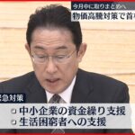 【政府】“物価高騰”対応へ 関係閣僚会議の初会合