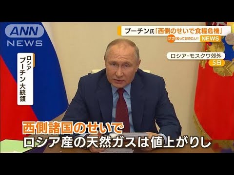 「西側諸国のせいで食糧危機」プーチン大統領が主張(2022年4月7日)