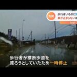 埼玉・停まってくれない“魔の横断歩道”