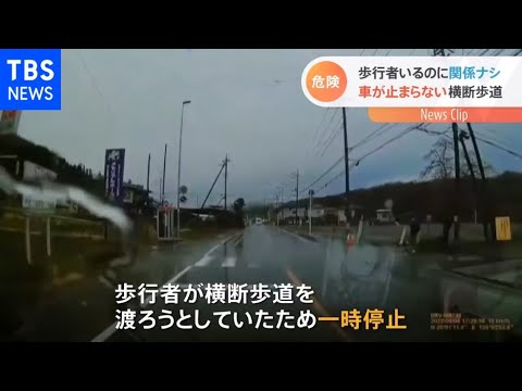 埼玉・停まってくれない“魔の横断歩道”