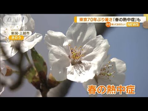 「春の熱中症」も注意・・・全国で“夏日続出”　東京70年ぶり暑さ(2022年4月11日)