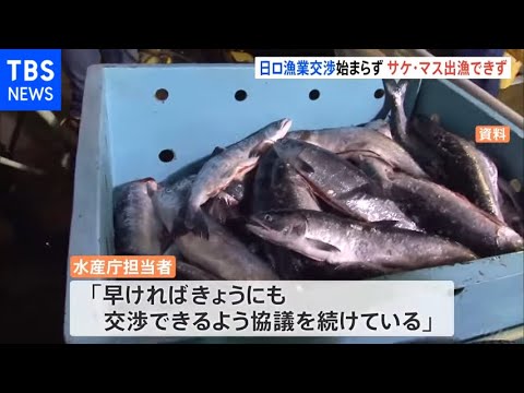 日ロ漁業交渉始まらずサケ・マス漁に船が出せない状態続く 北海道沖