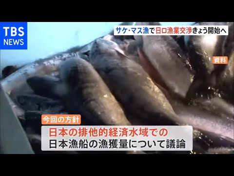 日ロ漁業交渉きょうから始めると発表 北海道沖のサケ・マス漁に関して 水産庁