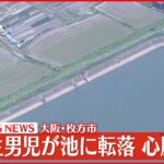 【速報】小学生の男児が池に転落…心肺停止　大阪･枚方市