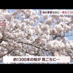 日本列島で“季節外れの暑さ”　東北では今年初の「真夏日」も(2022年4月11日)