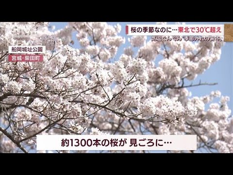 日本列島で“季節外れの暑さ”　東北では今年初の「真夏日」も(2022年4月11日)