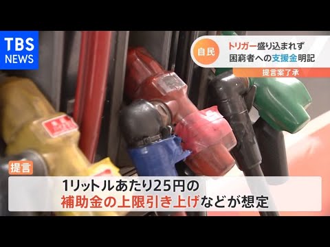 【速報】自民党が緊急対策を提言「トリガー条項」言及せず 支援金は「真に困った人」に限定