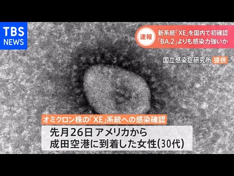 【速報】オミクロン株のうち、感染力が高いとされる「XE」ウイルスが国内で初確認