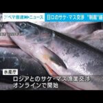“侵攻”の影響で遅れ・・・日ロのサケ・マス漁業交渉　きょうから再開(2022年4月11日)