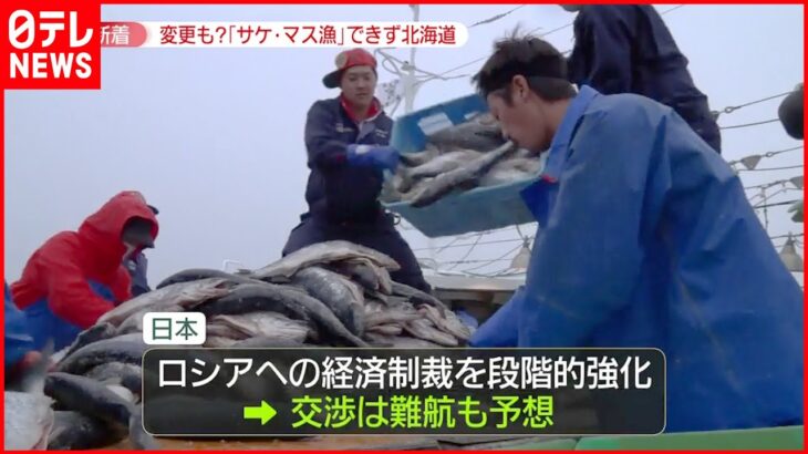 【ウクライナ侵攻影響】北海道で｢サケ･マス漁｣できず 日露漁業交渉は難航か
