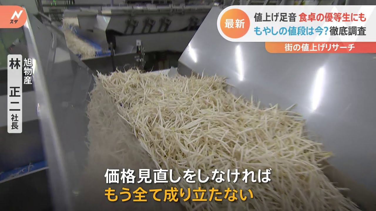 “食卓の優等生”が落第ピンチ？もやしの値段を徹底リサーチ【Nスタ】