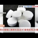 塩野義製薬のコロナ飲み薬 動物実験で胎児に骨格異常