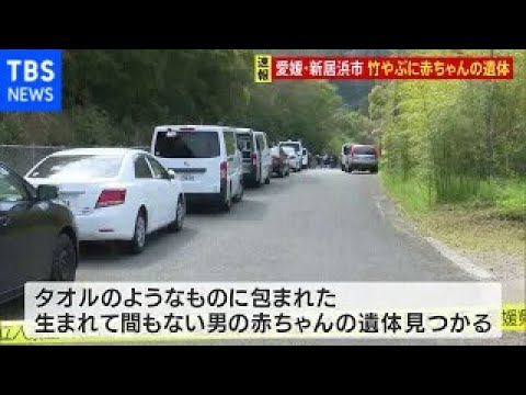 【速報】竹やぶに生まれて間もない赤ちゃんの遺体 何者かが遺棄か 愛知・新居浜市