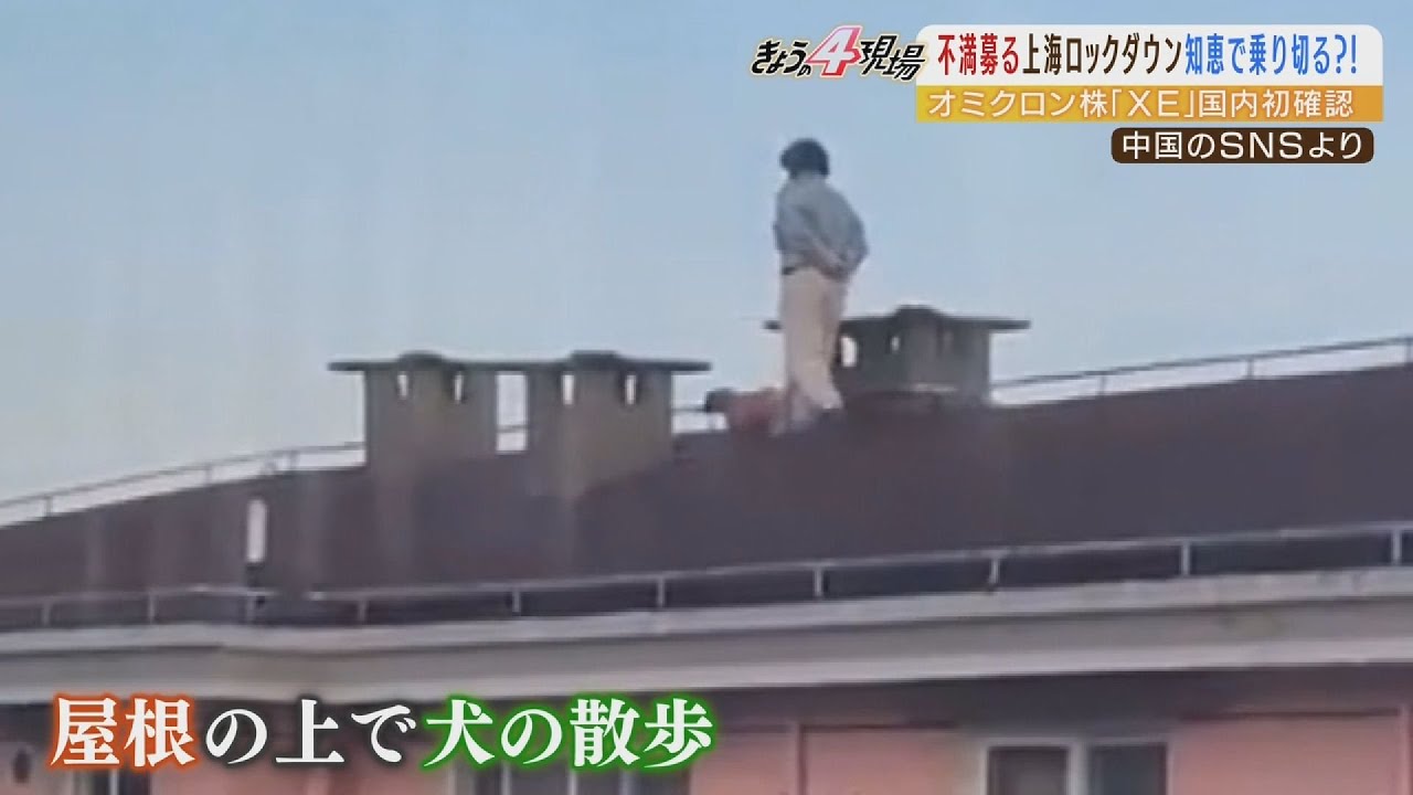屋上で犬の散歩!?ロックダウン続く上海…食料不足で『市民が政治家に直訴』異例光景も（2022年4月13日）